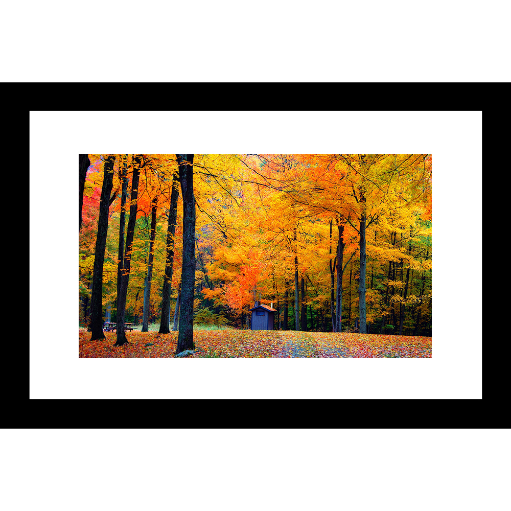 L-18020 Nature Landscape 24 x 36 Framed Available In Custom Sizes ...