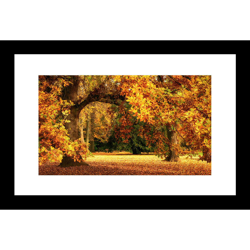 L-18058 Nature Landscape 24 x 36 Framed Available In Custom Sizes ...